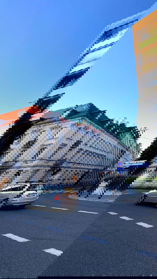 alisa.paigin alisa.paigin archive image