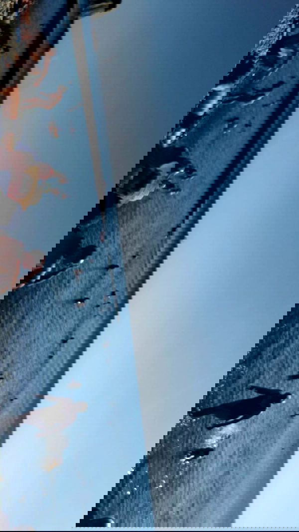 alisa.paigin alisa.paigin archive image