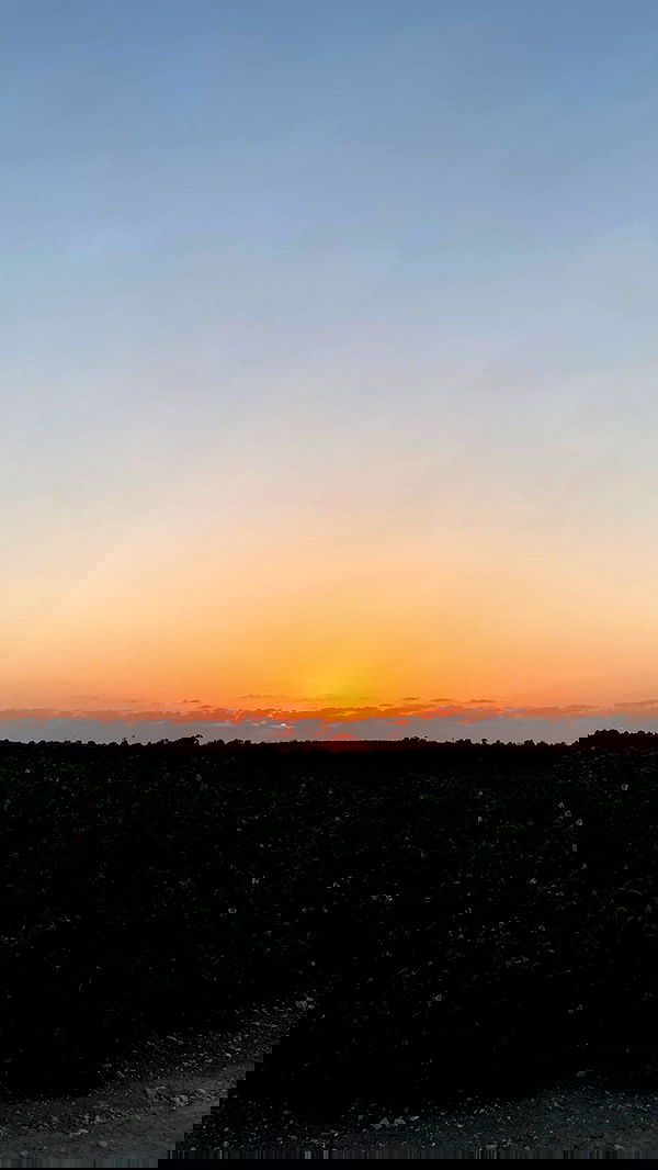 alisa.paigin alisa.paigin archive image