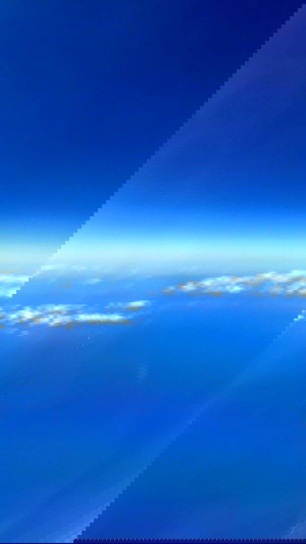 alisa.paigin alisa.paigin archive image