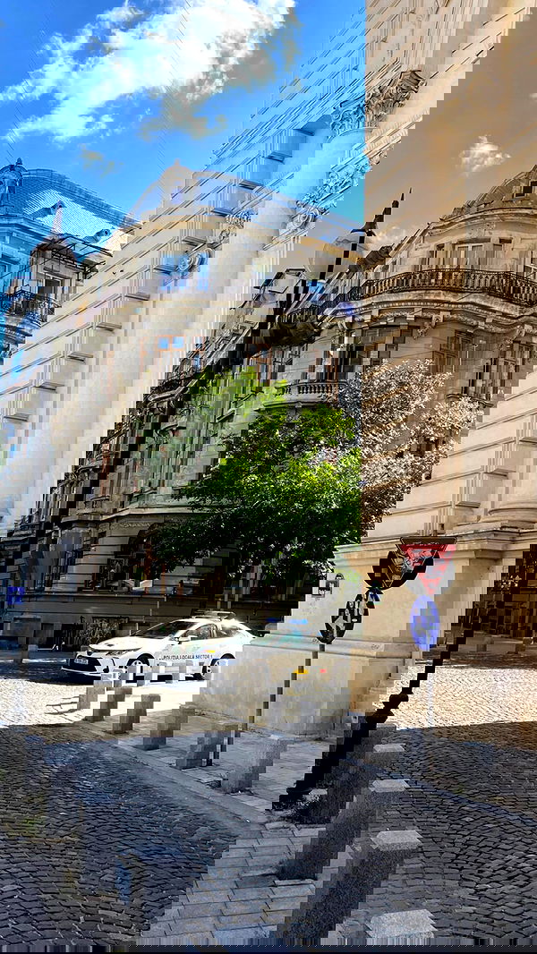 alisa.paigin alisa.paigin archive image