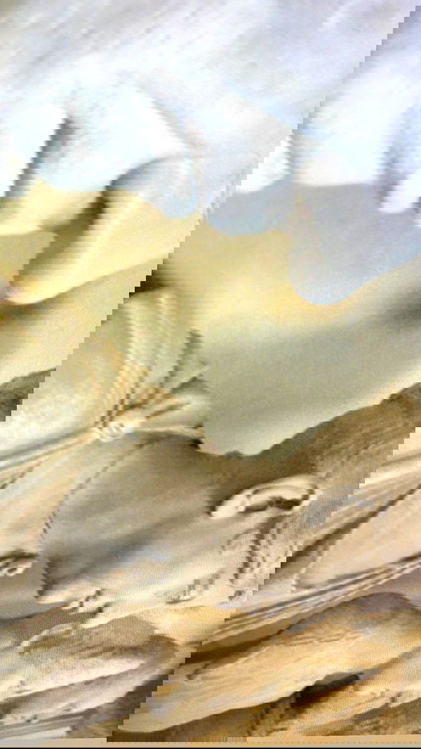 alisa.paigin alisa.paigin archive image