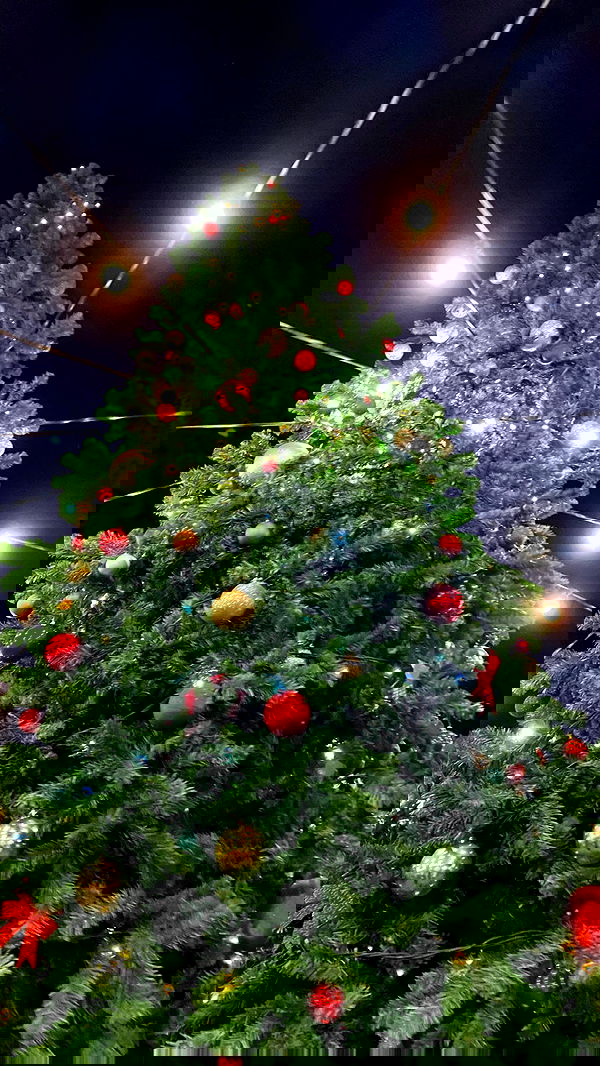 alisa.paigin alisa.paigin archive image