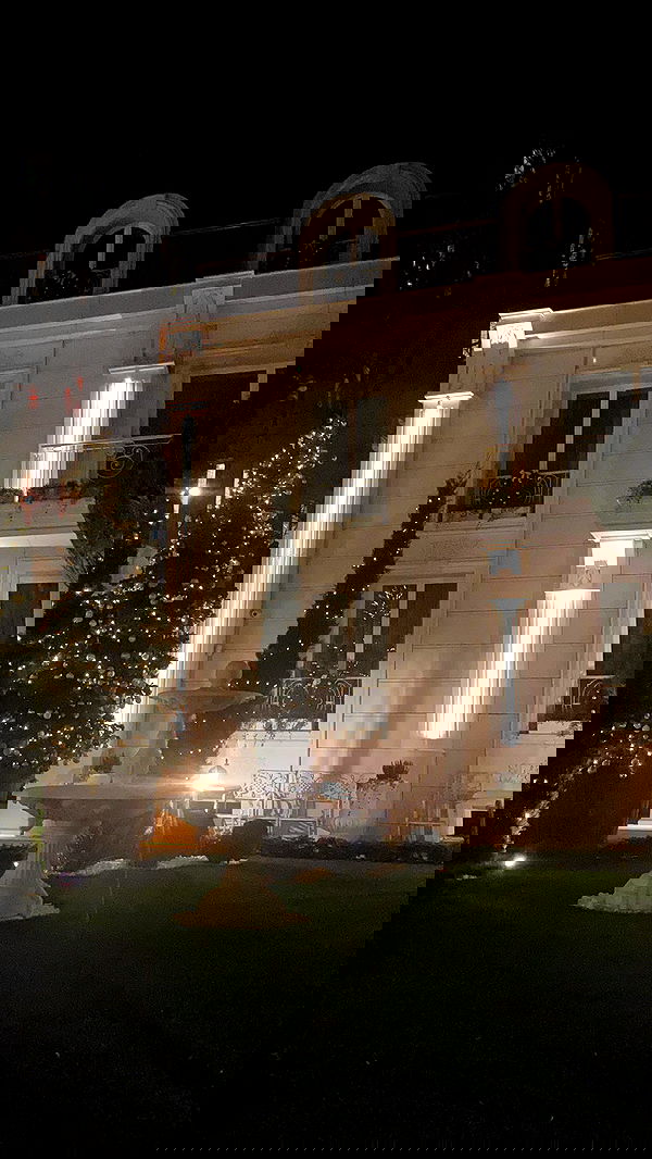 alisa.paigin alisa.paigin archive image