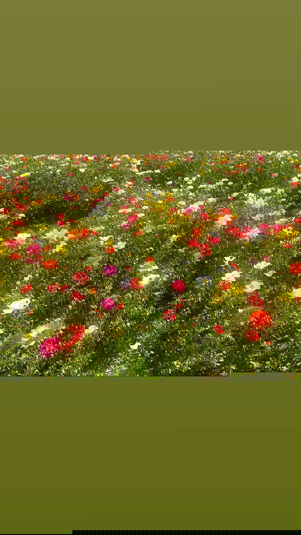 alisa.paigin alisa.paigin archive image