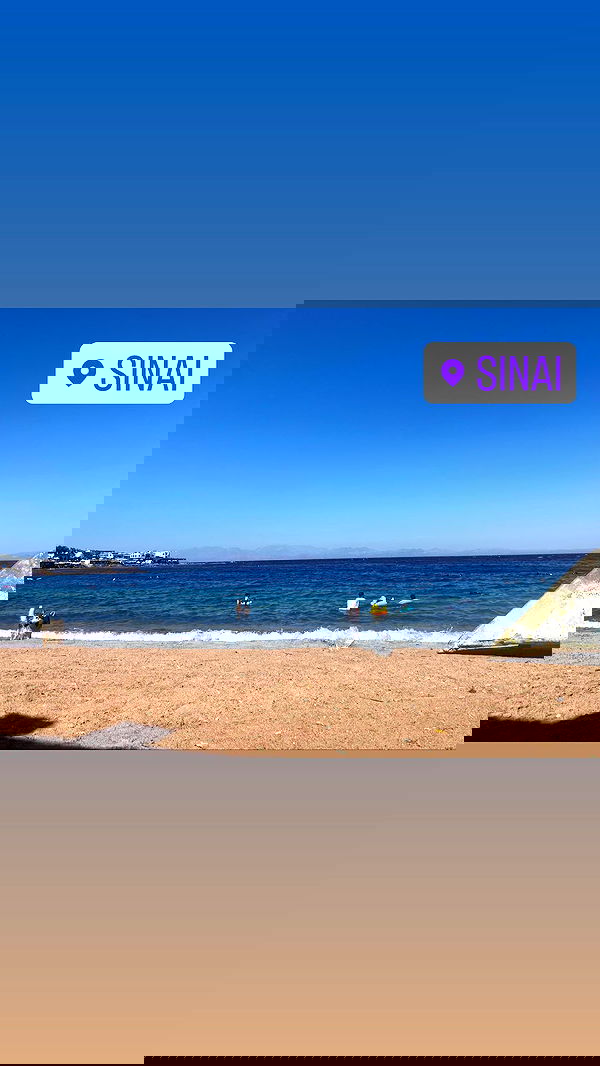 alisa.paigin alisa.paigin archive image