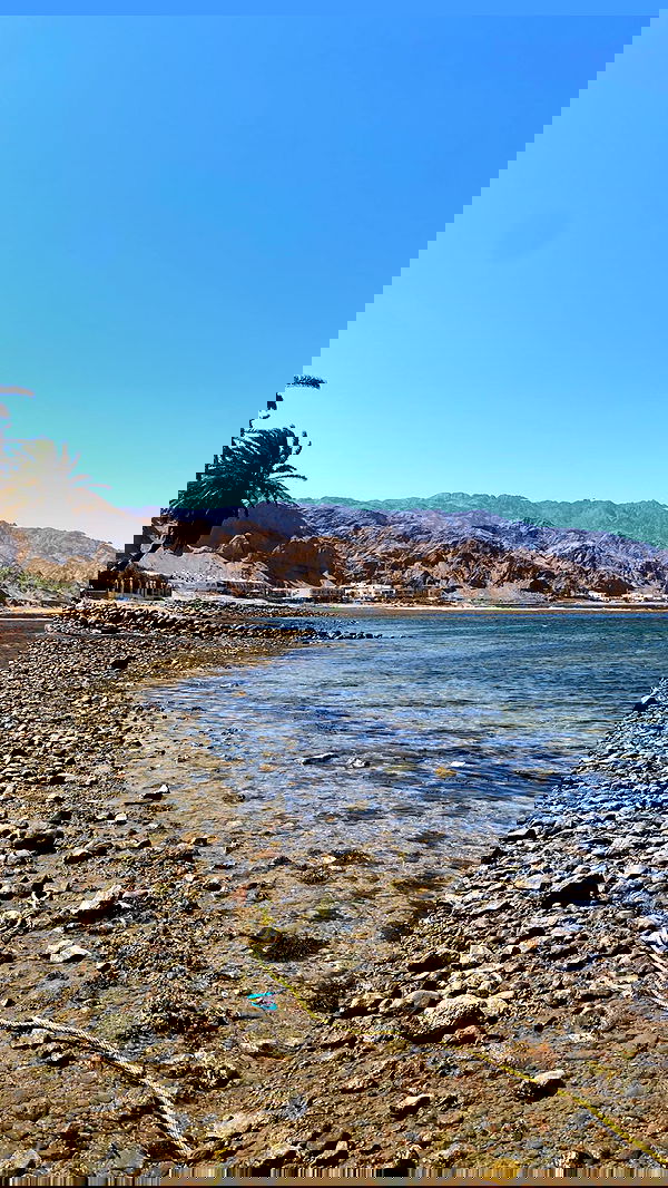 alisa.paigin alisa.paigin archive image