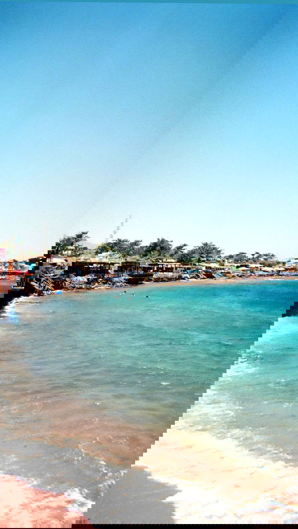 alisa.paigin alisa.paigin archive image