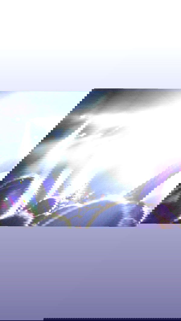 alisa.paigin alisa.paigin archive image