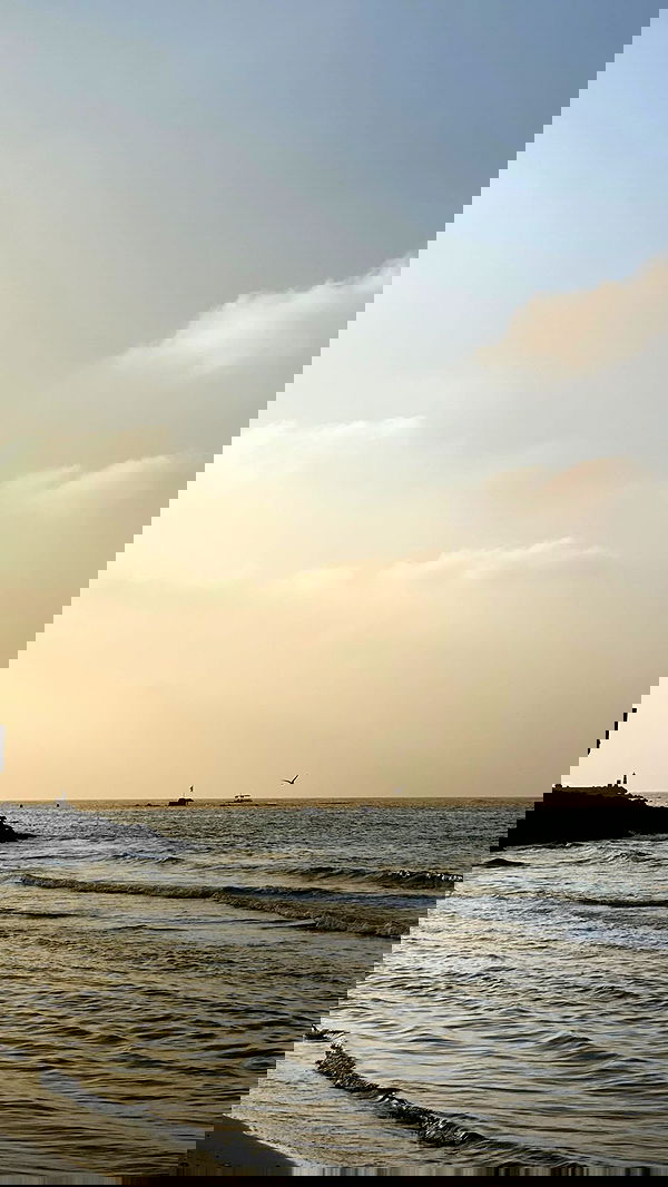 alisa.paigin alisa.paigin archive image