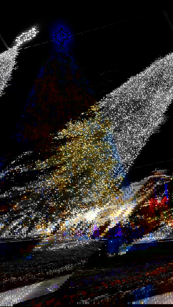 alisa.paigin alisa.paigin archive image