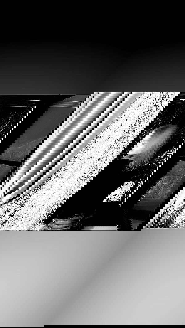 alisa.paigin alisa.paigin archive image