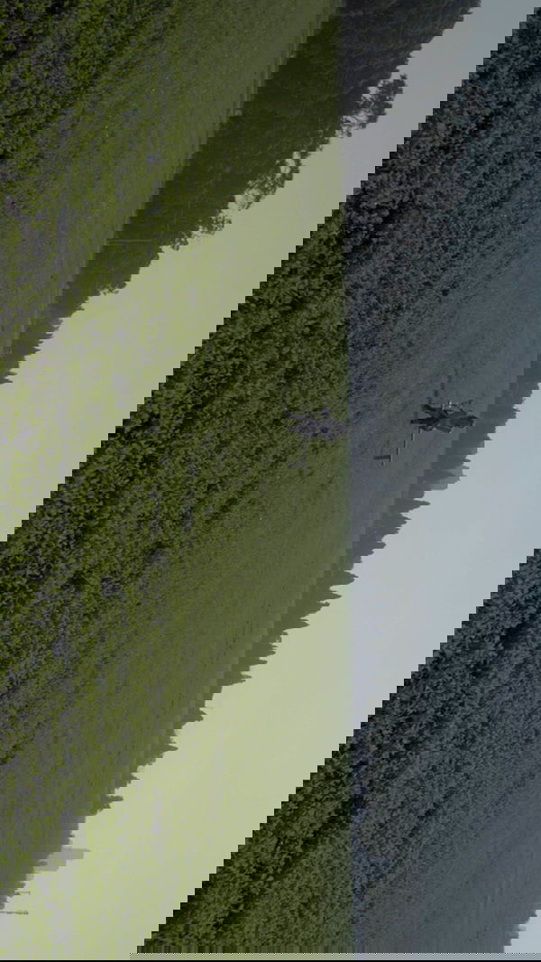 alisa.paigin alisa.paigin archive image