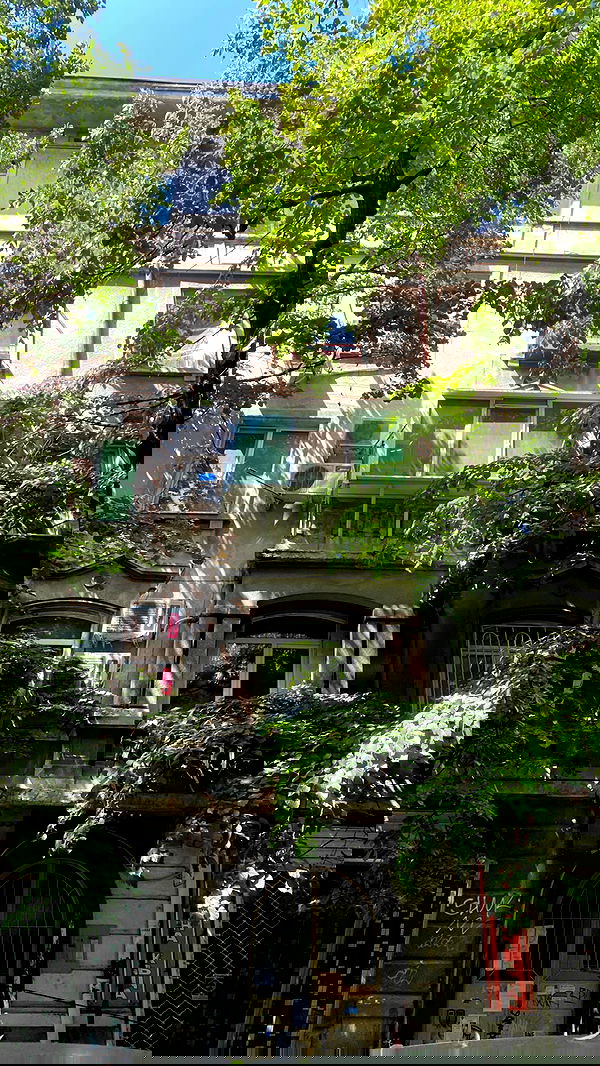 alisa.paigin alisa.paigin archive image