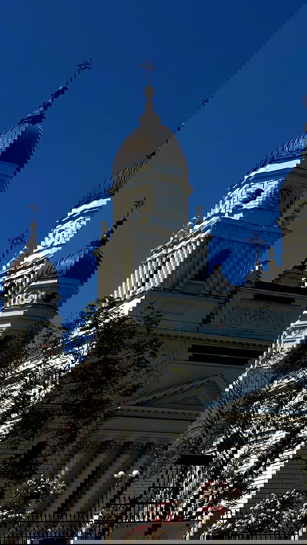 alisa.paigin alisa.paigin archive image