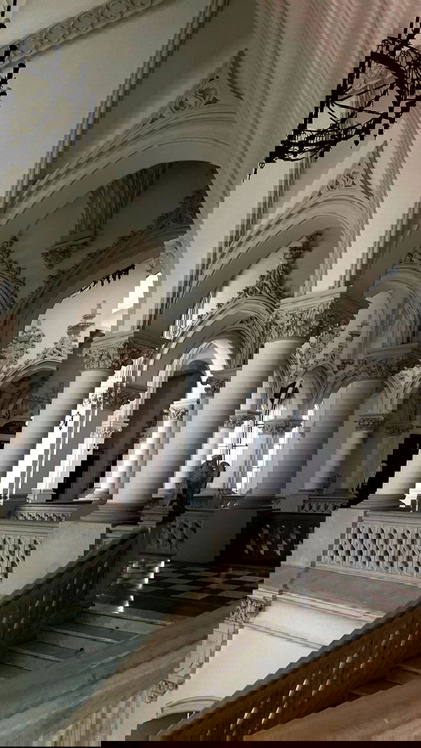 alisa.paigin alisa.paigin archive image