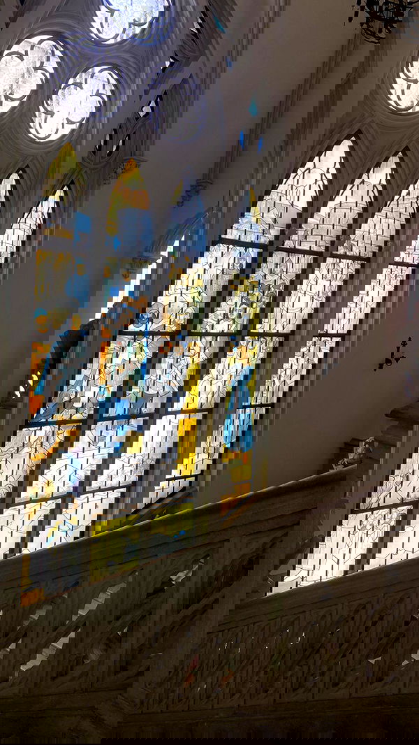 alisa.paigin alisa.paigin archive image