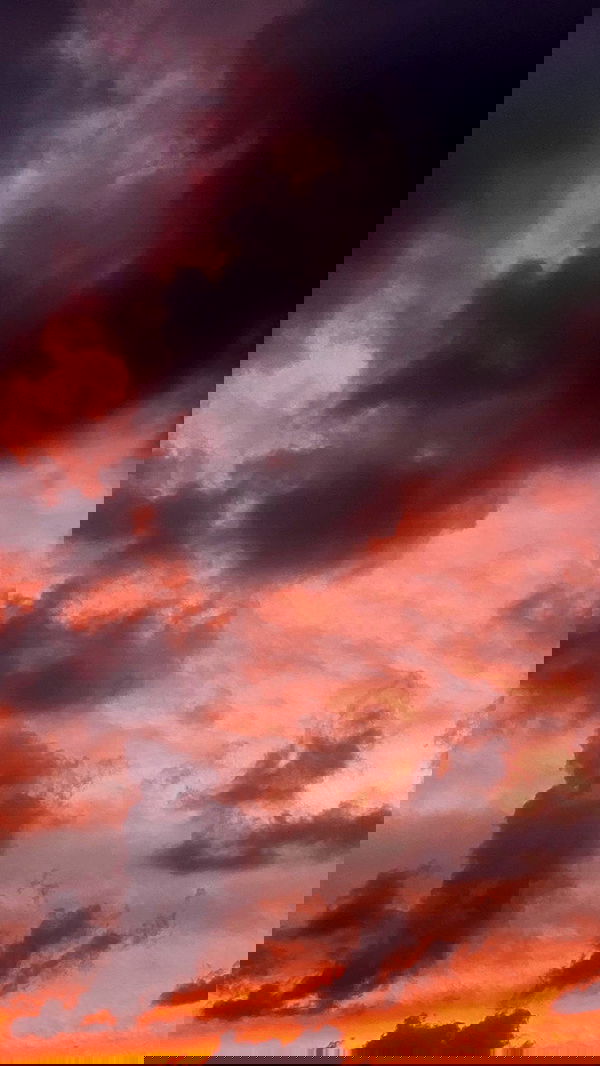 alisa.paigin alisa.paigin archive image