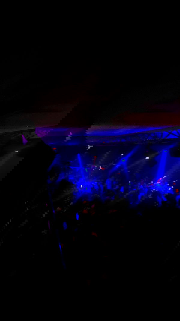 alisa.paigin alisa.paigin archive image