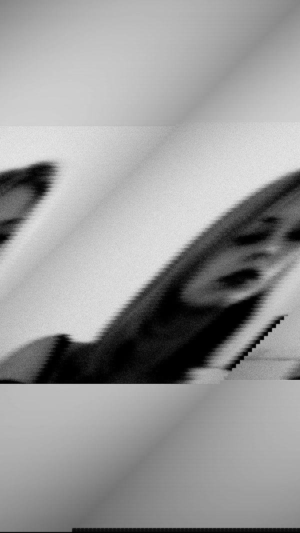 alisa.paigin alisa.paigin archive image