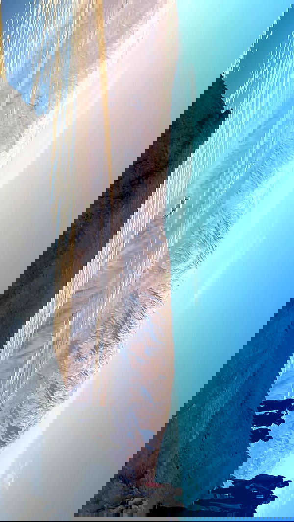 alisa.paigin alisa.paigin archive image