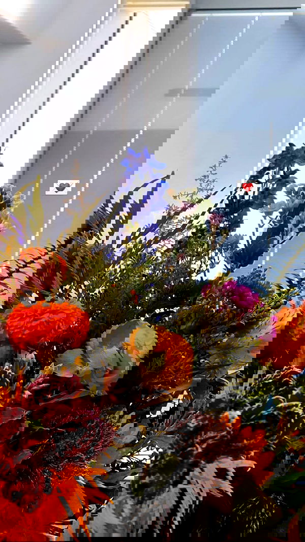 alisa.paigin alisa.paigin archive image