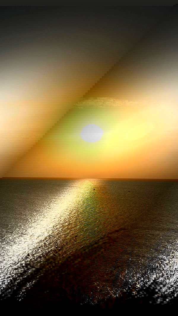 alisa.paigin alisa.paigin archive image