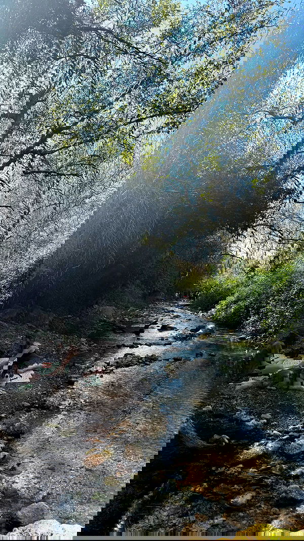 alisa.paigin alisa.paigin archive image