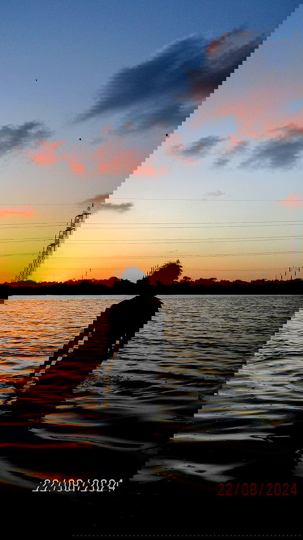 alisa.paigin alisa.paigin archive image