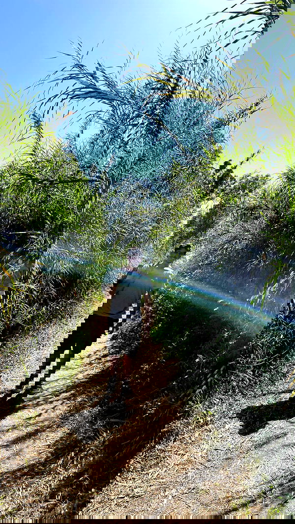 alisa.paigin alisa.paigin archive image