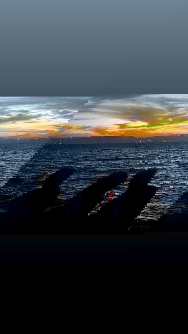 alisa.paigin alisa.paigin archive image