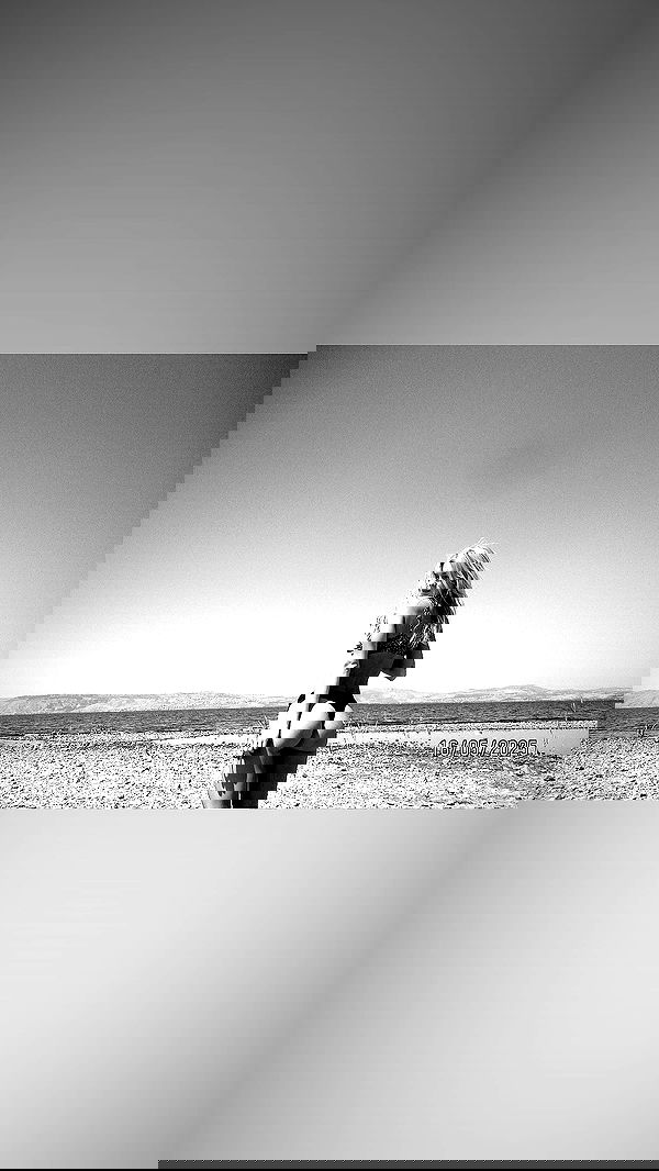 alisa.paigin alisa.paigin archive image