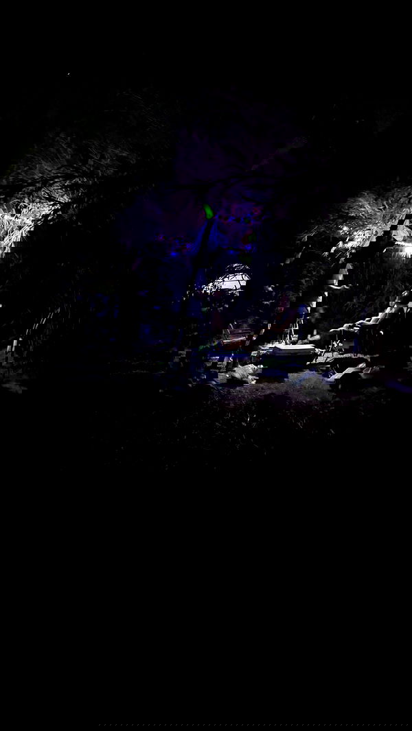 alisa.paigin alisa.paigin archive image