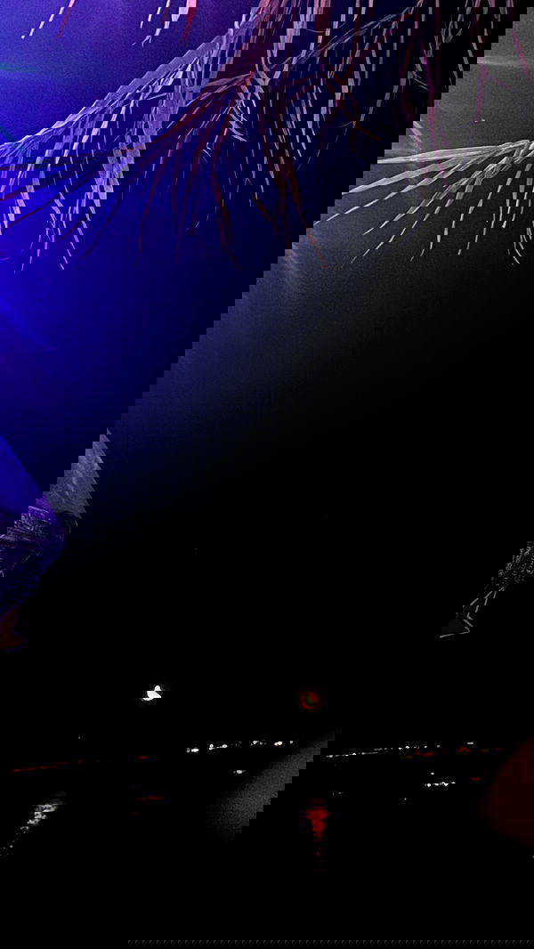 alisa.paigin alisa.paigin archive image