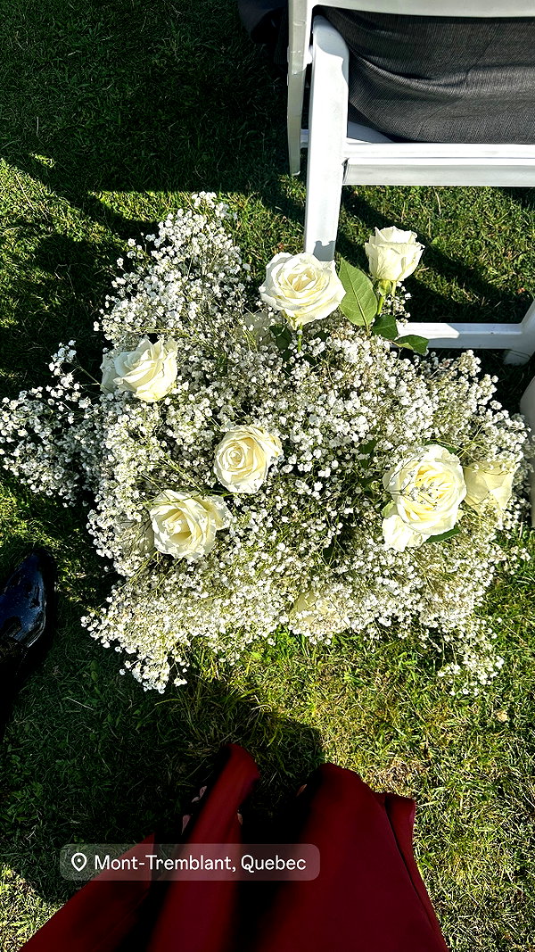 alissaviolet alissaviolet archive image