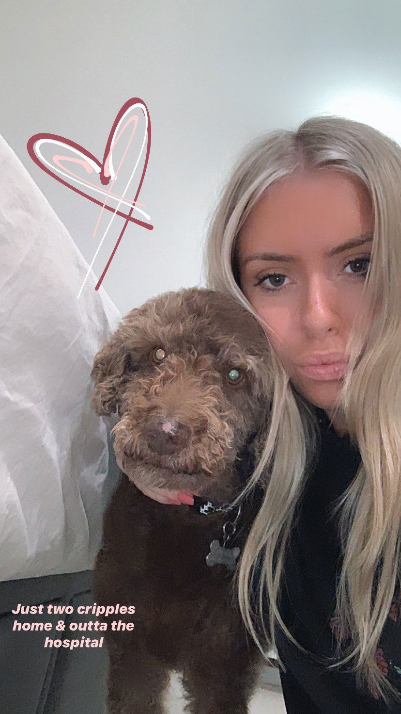 allygravemade instagram image archive image