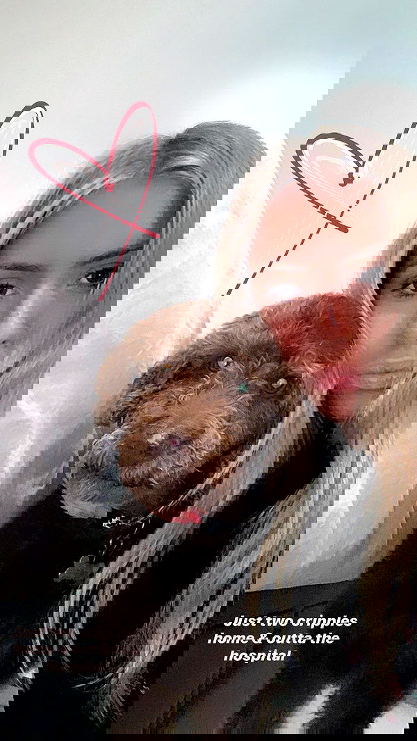 allygravemade image ~ Altpins