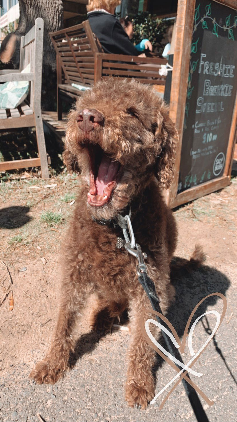 allygravemade instagram image archive image