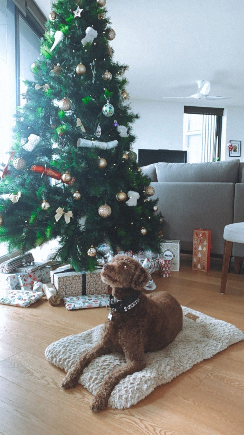 allygravemade instagram image archive image