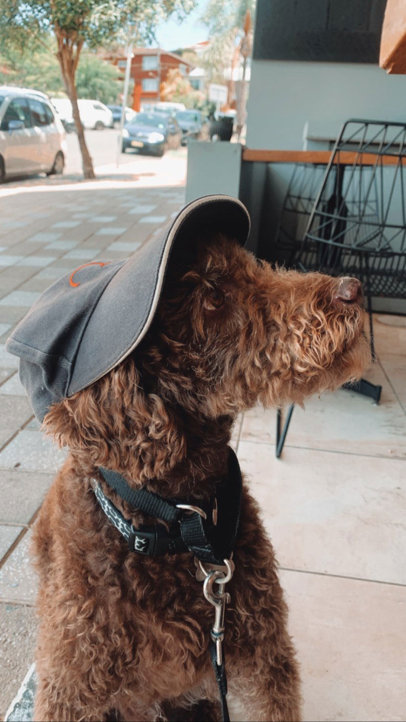 allygravemade instagram image archive image