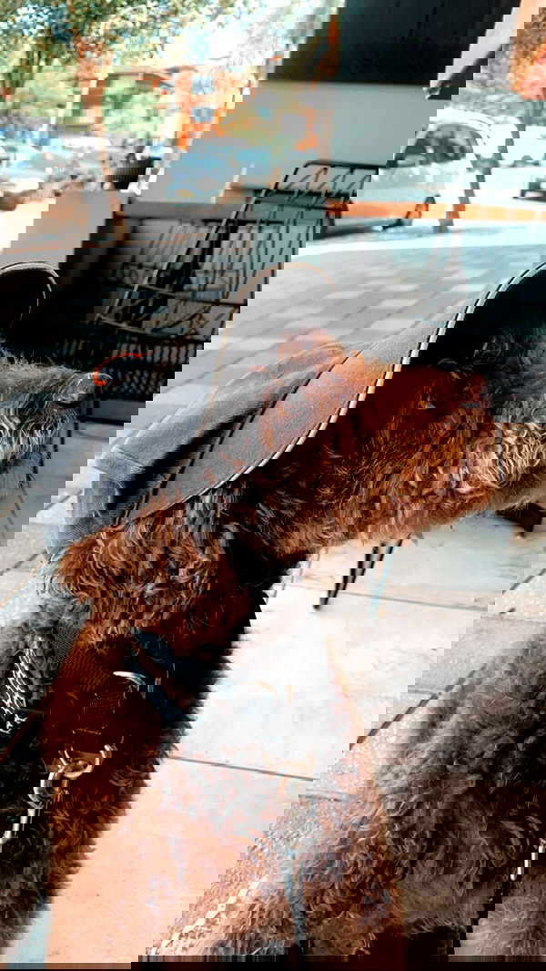 allygravemade image ~ Altpins