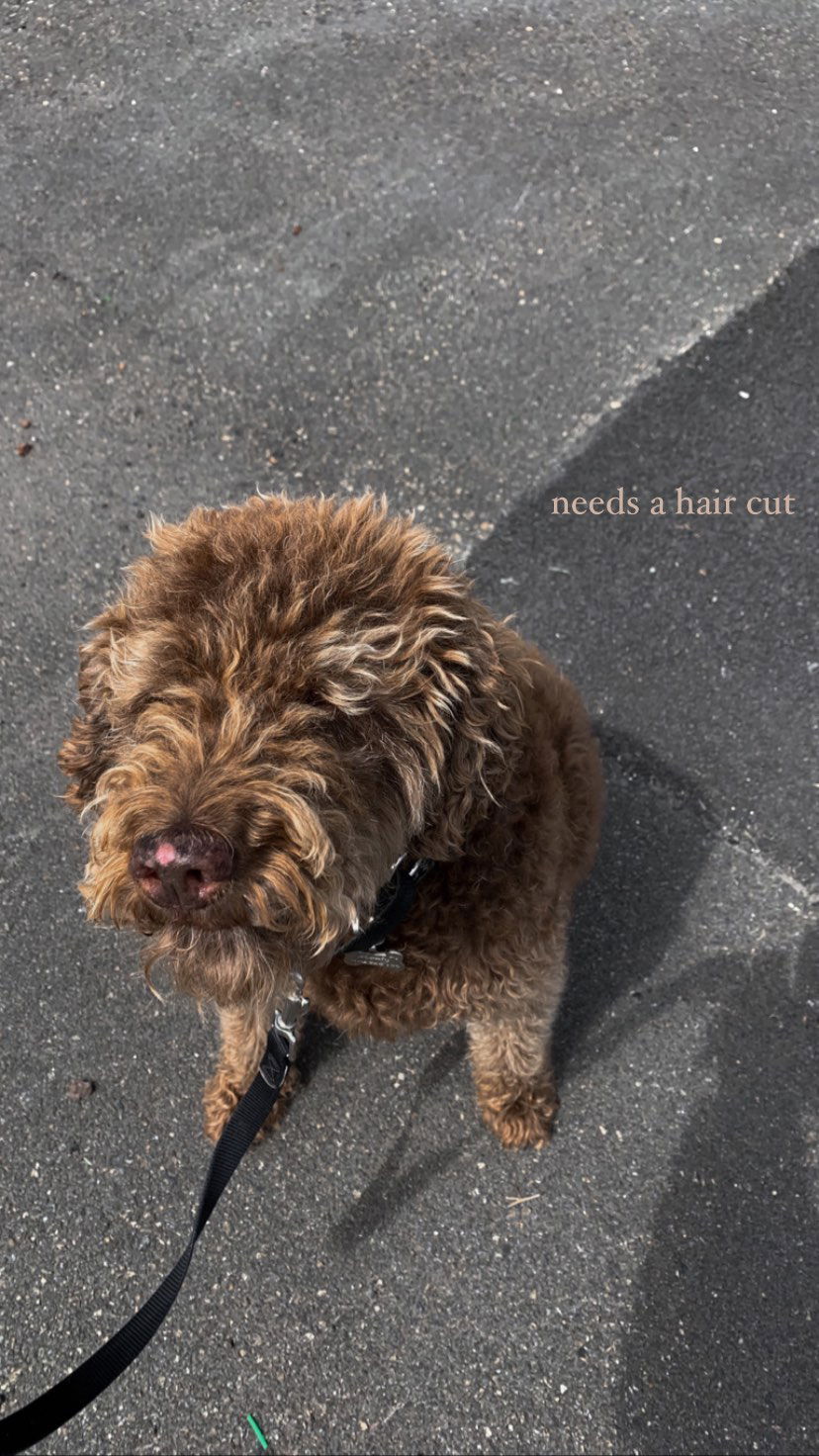 allygravemade instagram image archive image