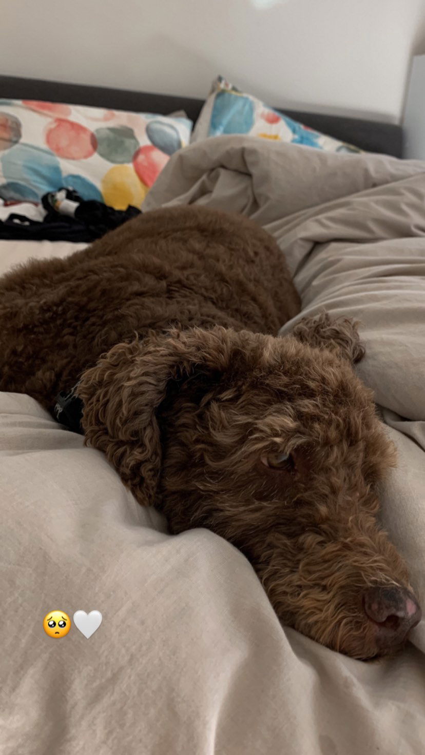 allygravemade instagram image archive image