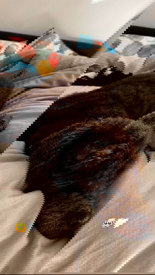 allygravemade image ~ Altpins