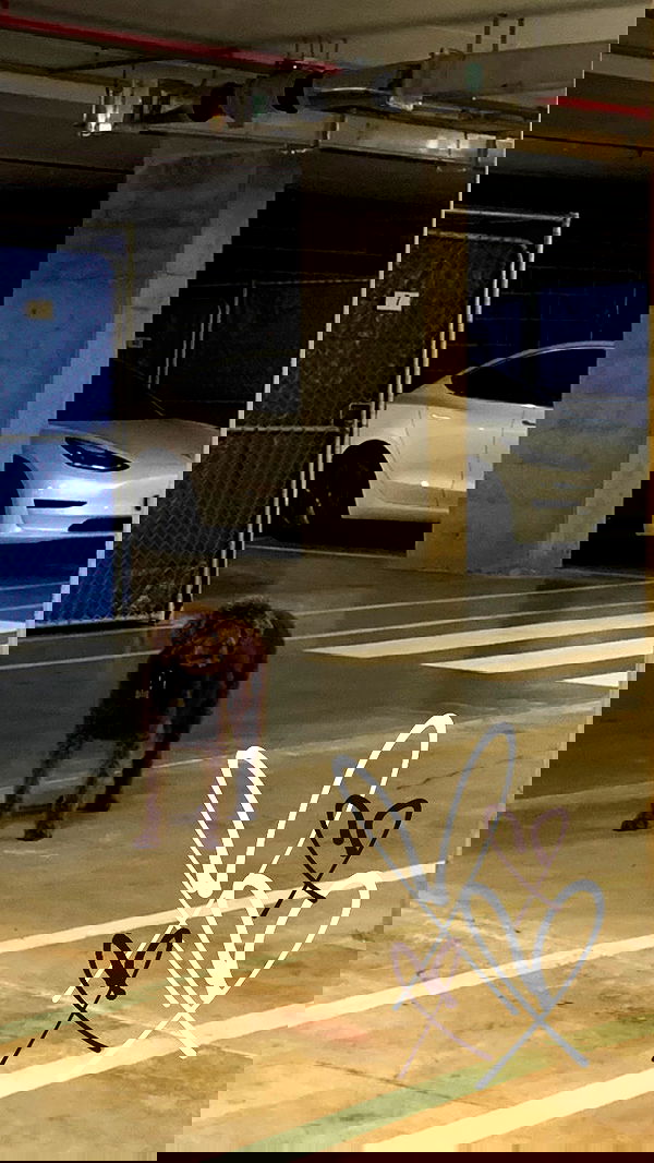 allygravemade image ~ Altpins