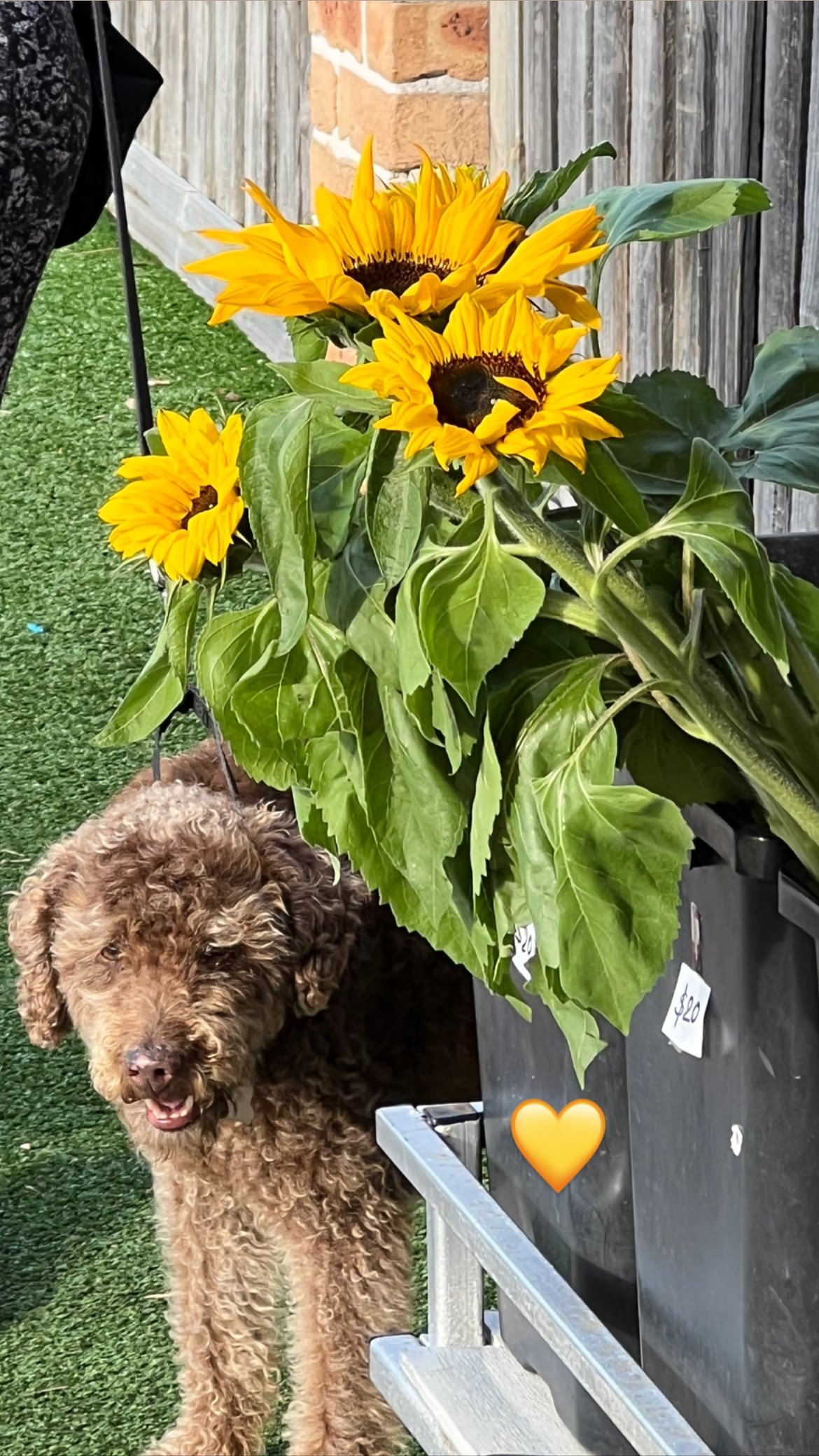 allygravemade instagram image archive image