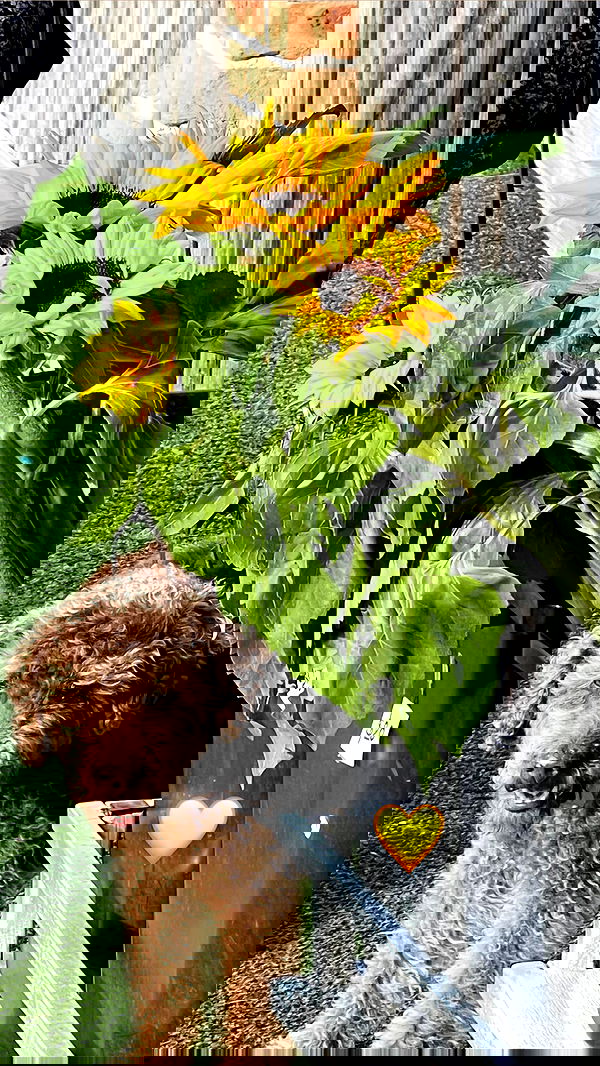 allygravemade image ~ Altpins