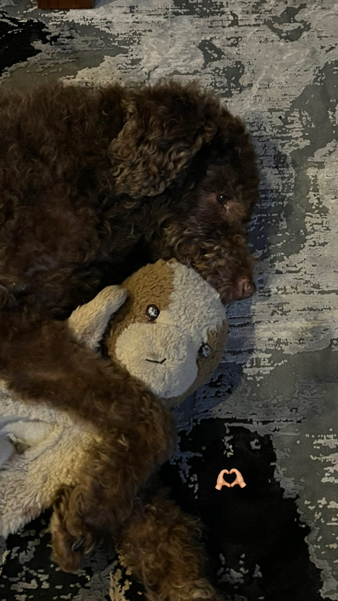 allygravemade instagram image archive image