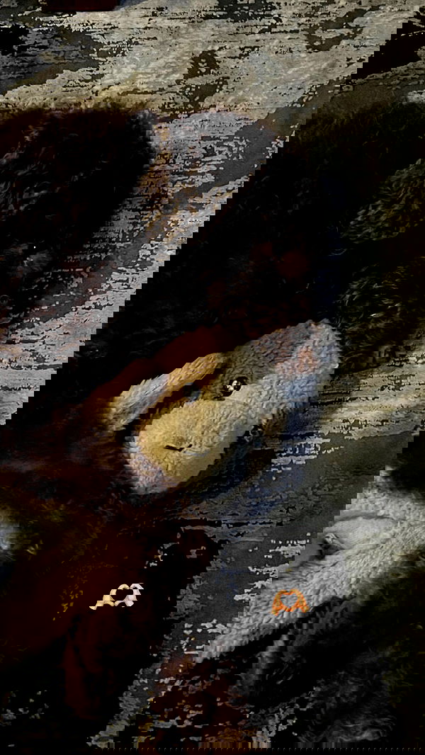 allygravemade image ~ Altpins