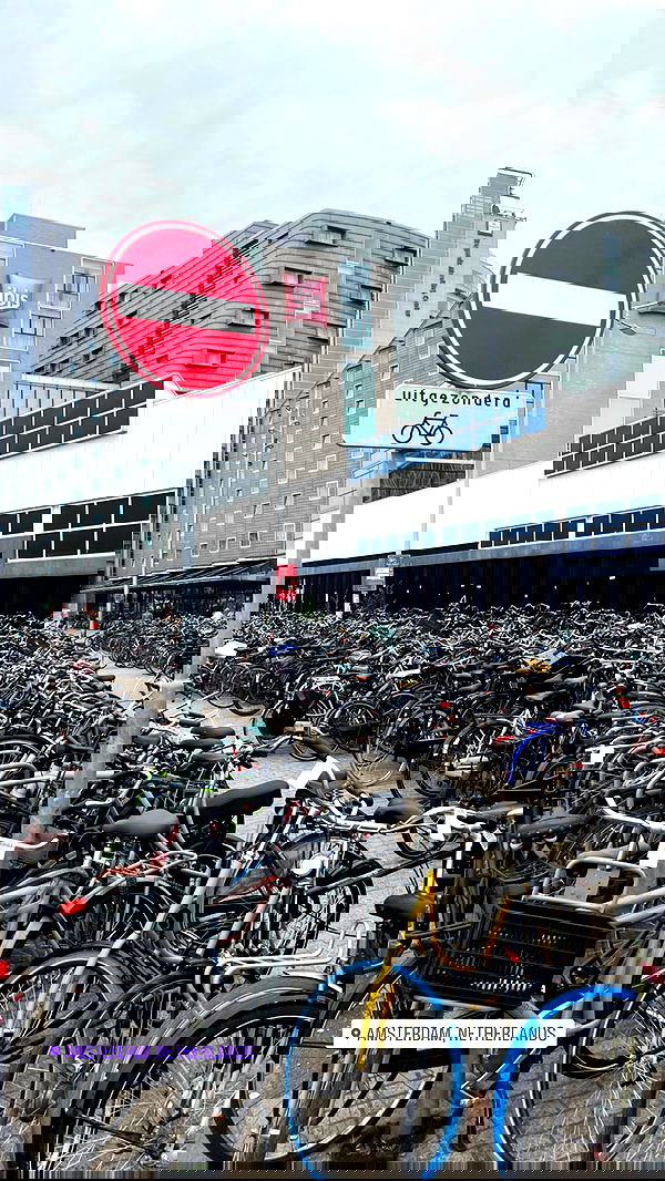 allygravemade image ~ Altpins